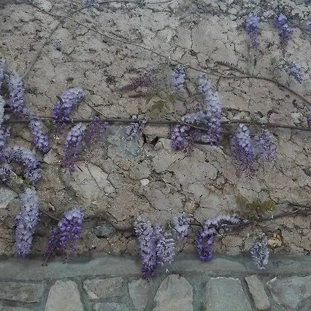 La Sorgente Del Sole Appartement