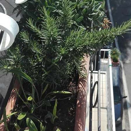 Apartmán La Sorgente Del Sole Positano