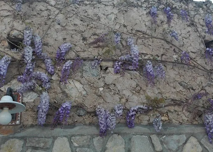 La Sorgente Del Sole 公寓