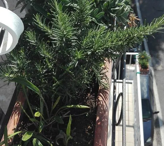 公寓 La Sorgente Del Sole 波西塔諾