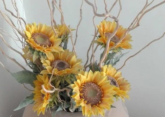 La Sorgente Del Sole 公寓 *